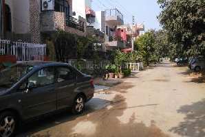  Residential Plot for Sale in Sushant Lok Phase I, Gurgaon