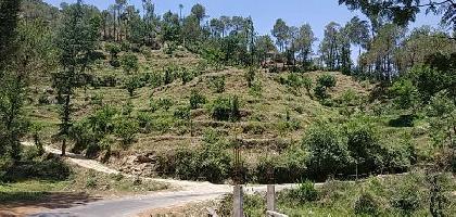  Commercial Land for Sale in Rajgarh, Sirmour