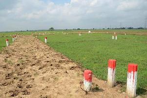  Residential Plot for Sale in Chirora, Patna