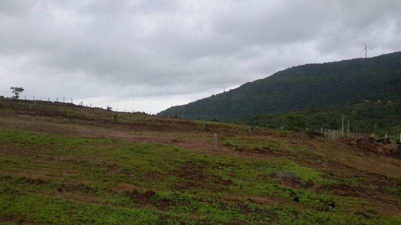  3291 Sq.ft. Residential Plot for Sale in New Mahabaleshwar