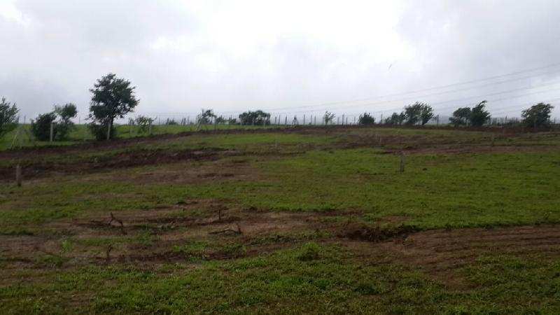 3291 Sq.ft. Residential Plot for Sale in New Mahabaleshwar