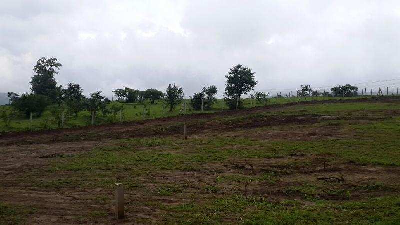  Residential Plot 3742 Sq.ft. for Sale in New Mahabaleshwar