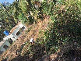  Residential Plot for Sale in Alibag, Raigad