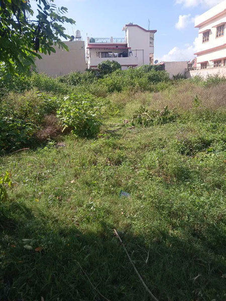 Residential Plot 244 Sq. Yards for Sale in Saharanpur Road, Dehradun
