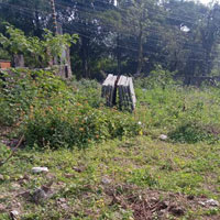  Residential Plot for Sale in Sahastradhara Road, Dehradun