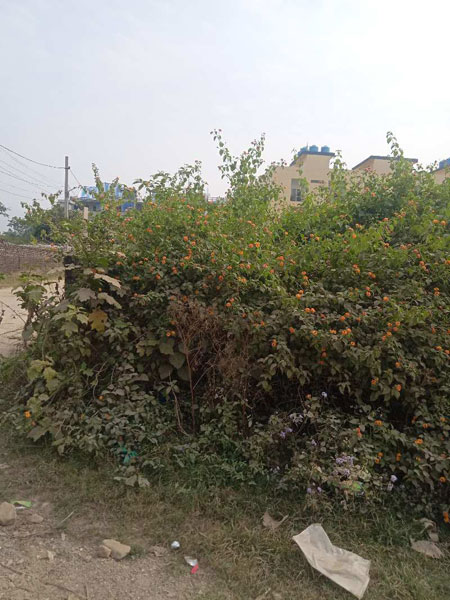 Residential Plot 280 Sq. Yards for Sale in