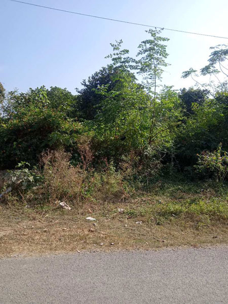 Residential Plot 420 Sq. Yards for Sale in