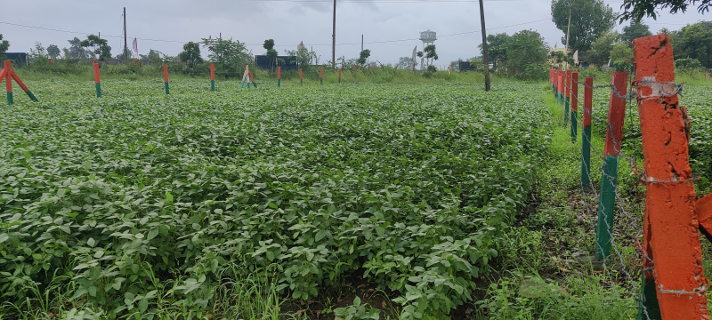  90 Acre Agricultural/Farm Land for Sale in Bilkisganj, Sehore