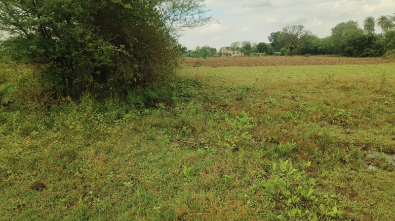  7 Acre Agricultural/Farm Land for Sale in Airport Road, Bhopal