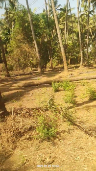  Agricultural Land for Sale in Gokarna, Uttara Kannada