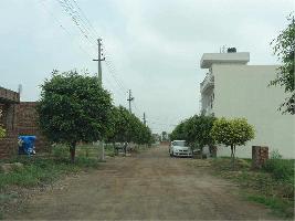  Residential Plot for Sale in Greater Mohali
