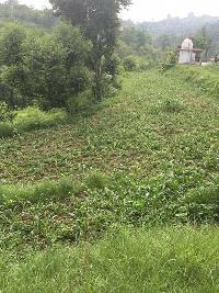  Agricultural Land for Sale in Bhoranj, Hamirpur
