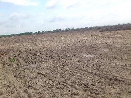  Commercial Land for Sale in NH 11, Bharatpur
