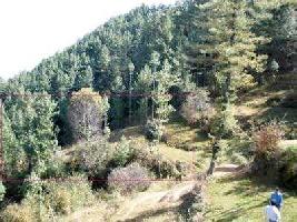 1 BHK Farm House for Sale in Dharampur, Solan