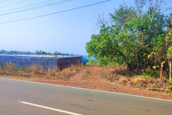  Residential Plot for Sale in Taliparamba, Kannur