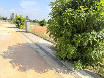 Residential Plot for Sale in Chikka Tirupathi, Bangalore