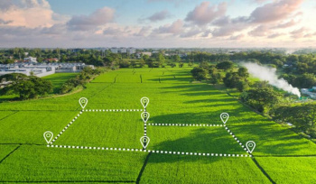  Residential Plot for Sale in Sector 43 Noida