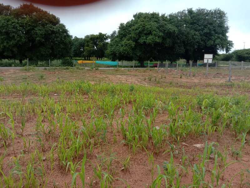  Agricultural Land 20 Guntha for Sale in Shadnagar, Hyderabad