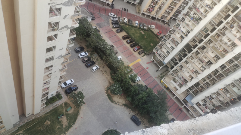 2 BHK Apartment 850 Sq.ft. for Rent in Greater Noida West