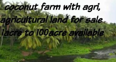  Agricultural Land for Sale in Palladam, Coimbatore