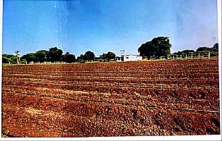  Agricultural Land for Sale in Karamsad, Anand