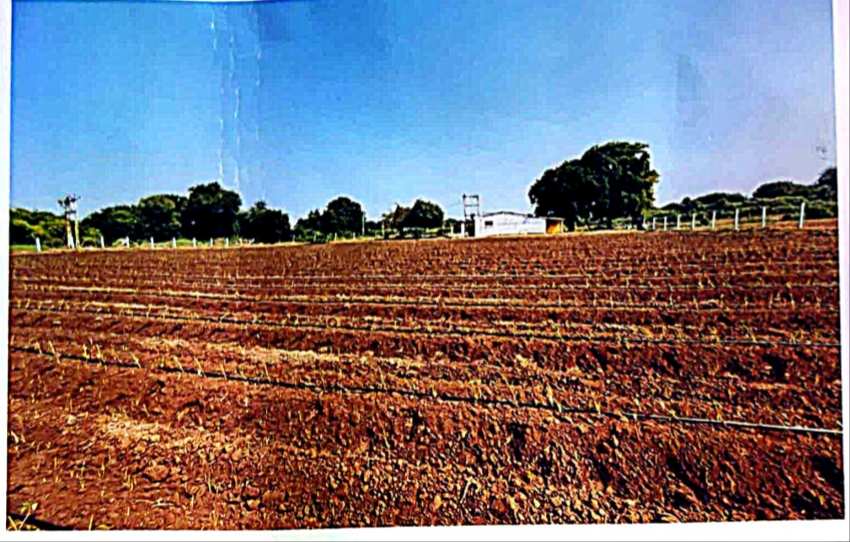 Agricultural Land 85000 Sq.ft. for Sale in Karamsad, Anand