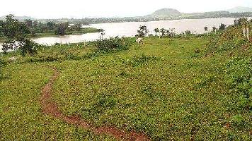  Agricultural Land for Sale in Trimbak, Nashik