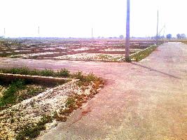  Residential Plot for Sale in Uruli Kanchan, Pune