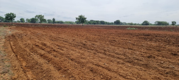  Agricultural Land for Sale in Jammigadda, Suryapet