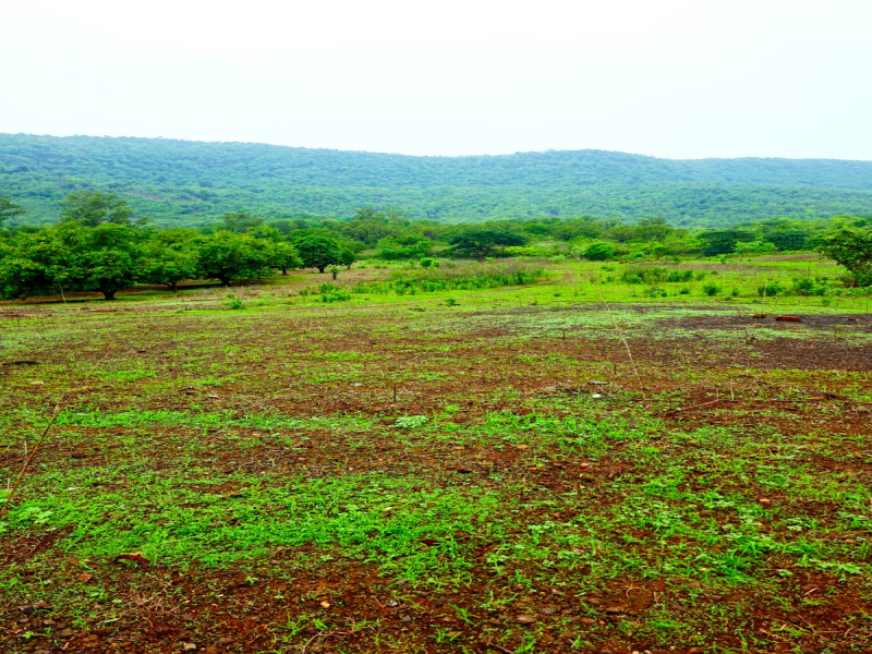  Residential Plot 1000 Sq.ft. for Sale in Pen, Raigad
