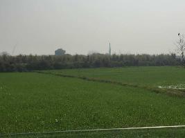  Agricultural Land for Sale in Meerut Bypass