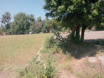  Agricultural Land for Sale in Acharapakkam, Chengalpattu