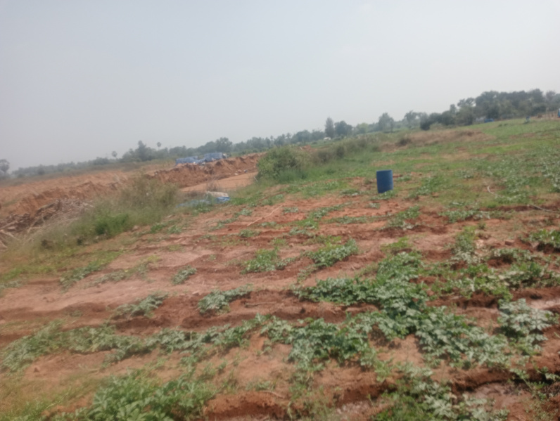  Agricultural Land 1 Acre for Sale in Uthiramerur, Kanchipuram