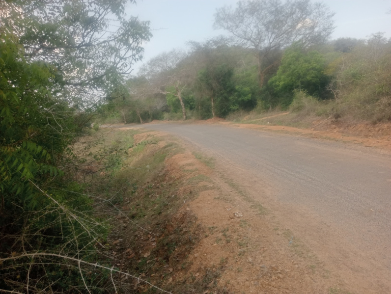  Agricultural Land 2 Acre for Sale in Cheyyar, Kanchipuram