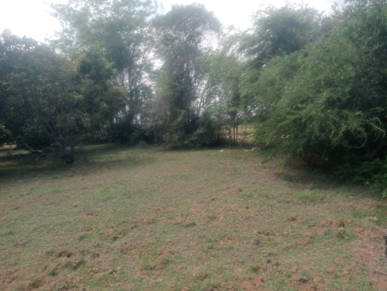  Agricultural Land 2 Acre for Sale in Cheyyar, Kanchipuram