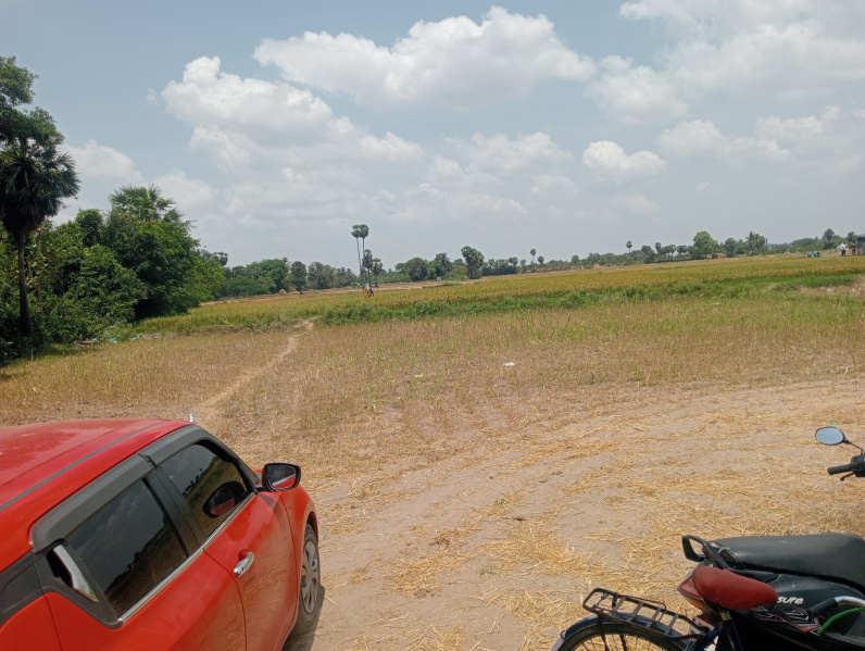  Industrial Land 7 Acre for Sale in Pattukkottai, Thanjavur