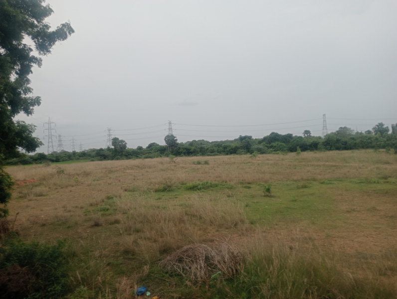  Agricultural Land 2 Acre for Sale in Cheyyar, Kanchipuram