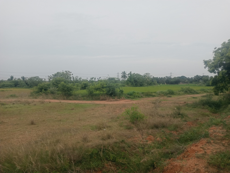  Agricultural Land 2 Acre for Sale in Cheyyar, Kanchipuram