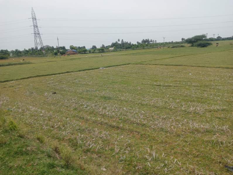  Agricultural Land 1 Acre for Sale in Vadakkupattu, Kanchipuram