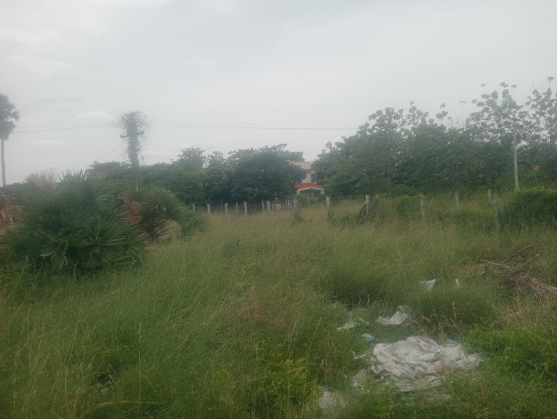  Agricultural Land 1 Acre for Sale in Uthiramerur, Kanchipuram