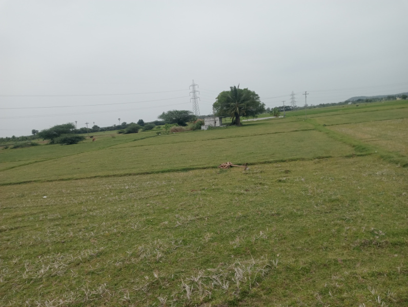  Agricultural Land 1 Acre for Sale in Uthiramerur, Kanchipuram