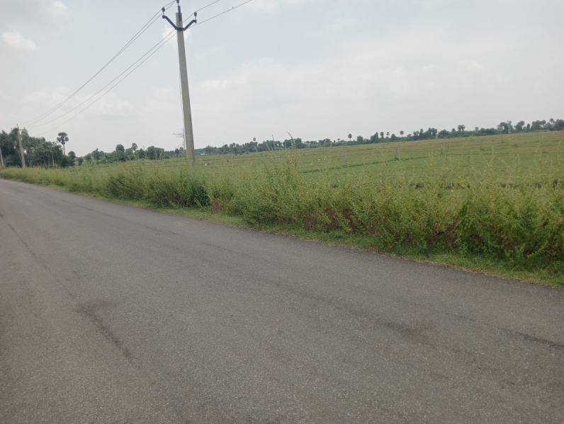 1 Acre Agricultural/Farm Land for Sale in Maduranthakam, Chengalpattu