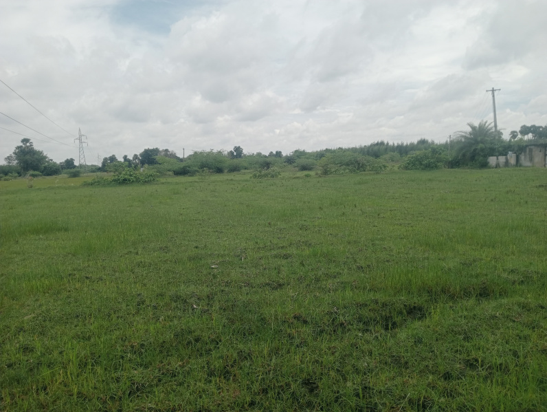  2 Acre Agricultural/Farm Land for Sale in Alapakkam, Kanchipuram