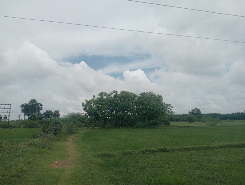  2 Acre Agricultural/Farm Land for Sale in Alapakkam, Kanchipuram