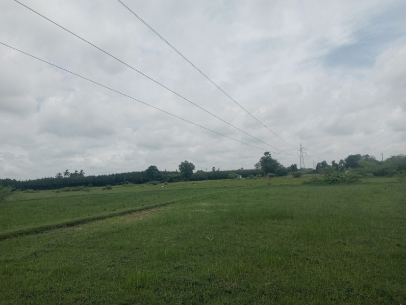  2 Acre Agricultural/Farm Land for Sale in Alapakkam, Kanchipuram