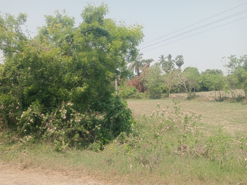  1 Acre Agricultural/Farm Land for Sale in Uthiramerur, Kanchipuram