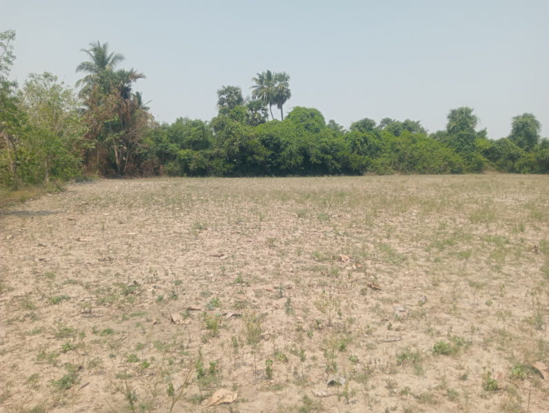  1 Acre Agricultural/Farm Land for Sale in Uthiramerur, Kanchipuram