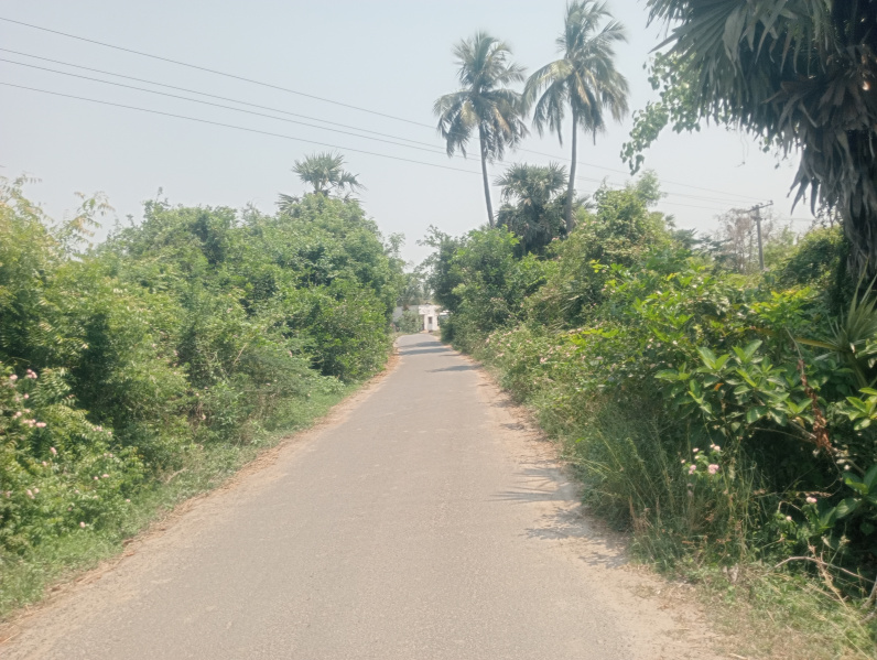  1 Acre Agricultural/Farm Land for Sale in Uthiramerur, Kanchipuram