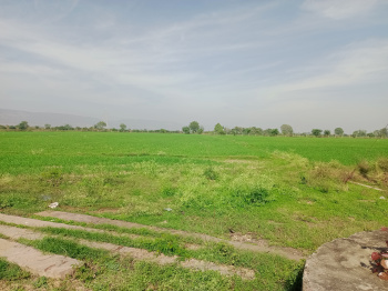  Agricultural Land for Sale in New Colony, Bundi