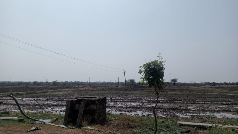  Agricultural Land 97 Bigha for Sale in Khandar, Sawai Madhopur